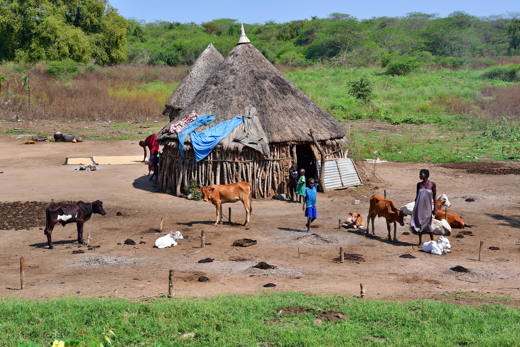 Nuer villages (Gambela)